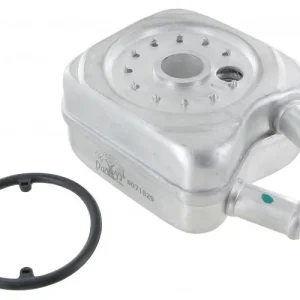 ?asově Omezené Chladi? oleje - Typ 25/Golf/Jetta (1981 ? 92)